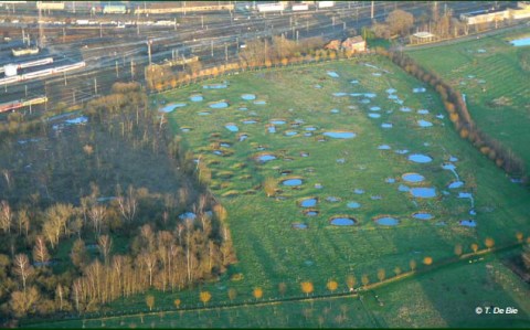 Foto copyright Tom De Bie