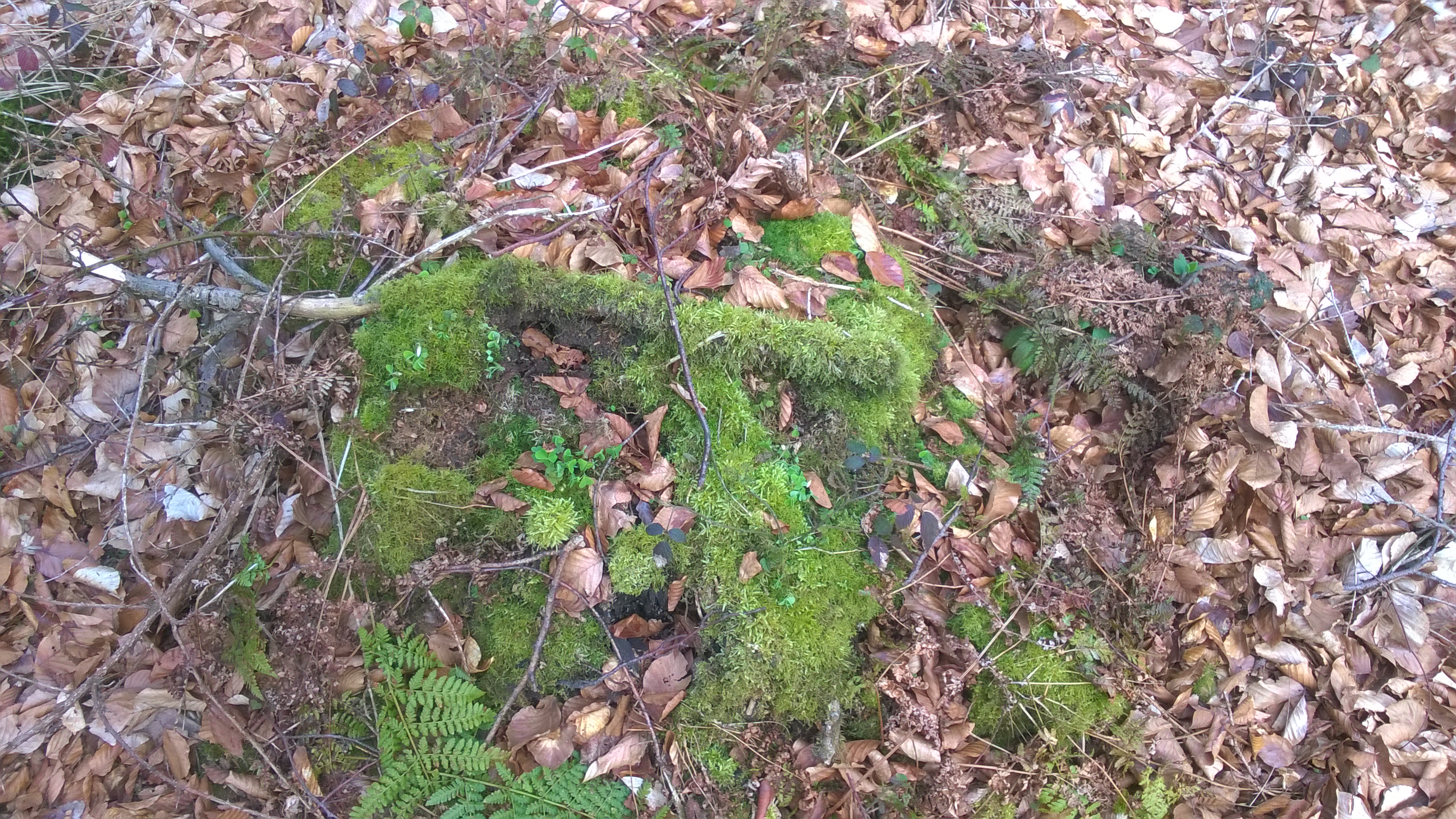 WP_20160414_10_09_01_Pro