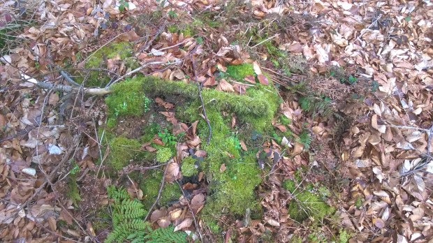 WP_20160414_10_09_01_Pro